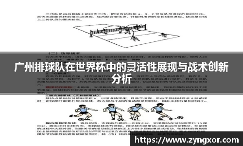 必一运动b-sports