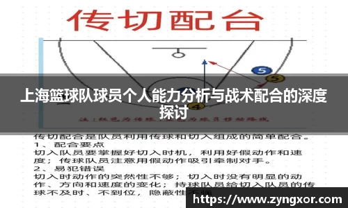 必一运动b-sports官网