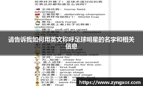 必一运动b-sports平台